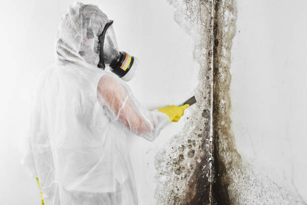 Best Residential Mold Inspection & Testing  in Perryopolis, PA