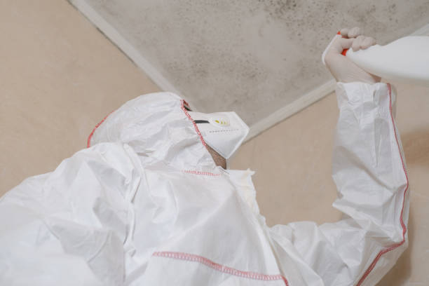 Best Environmental Consulting for Mold Prevention  in Perryopolis, PA